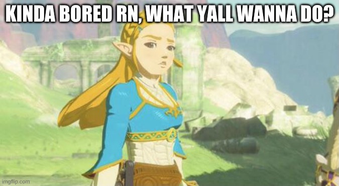 Judging zelda | KINDA BORED RN, WHAT YALL WANNA DO? | image tagged in judging zelda | made w/ Imgflip meme maker