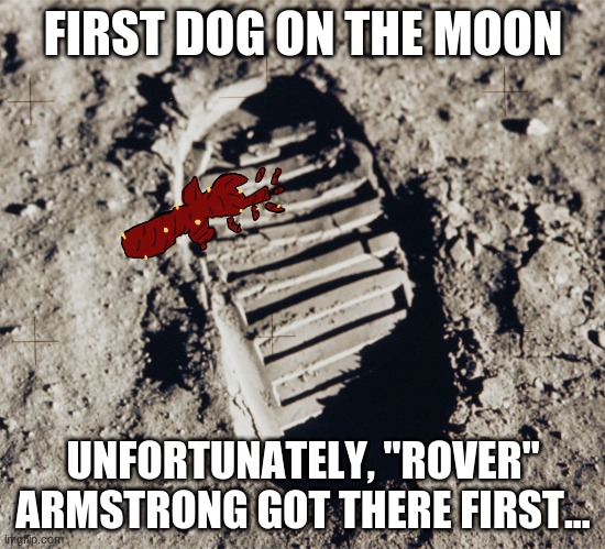 First Dog On The Moon | FIRST DOG ON THE MOON; UNFORTUNATELY, "ROVER" ARMSTRONG GOT THERE FIRST... | image tagged in first dog on the moon | made w/ Imgflip meme maker
