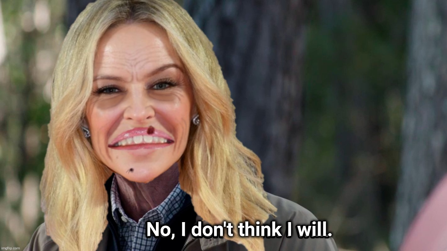 No, Kylie don't think she will. Unless it could keep her moribund career going. | No, I don't think I will. | image tagged in no i don't think i will,kylie minogue hideous old bag,kylie minogue,kylieminoguesucks,crossover templates | made w/ Imgflip meme maker