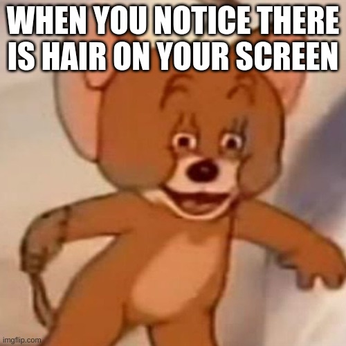 2nd meme :p | WHEN YOU NOTICE THERE IS HAIR ON YOUR SCREEN | image tagged in polish jerry | made w/ Imgflip meme maker