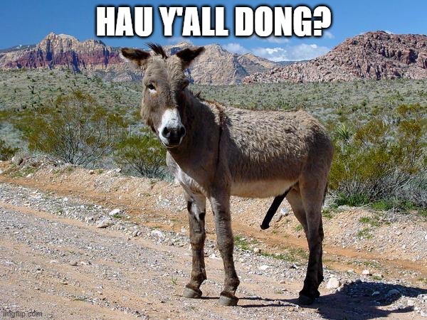 Donkey Dong | HAU Y'ALL DONG? | image tagged in donkey dong | made w/ Imgflip meme maker