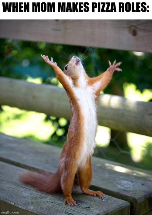 Praise Squirrel |  WHEN MOM MAKES PIZZA ROLES: | image tagged in praise squirrel | made w/ Imgflip meme maker