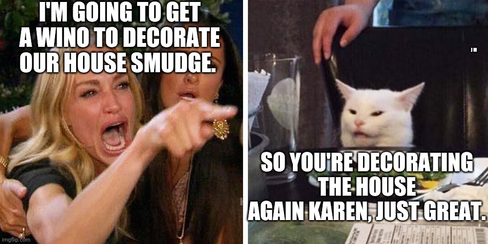 Smudge the cat | I'M GOING TO GET A WINO TO DECORATE OUR HOUSE SMUDGE. J M; SO YOU'RE DECORATING THE HOUSE AGAIN KAREN, JUST GREAT. | image tagged in smudge the cat | made w/ Imgflip meme maker