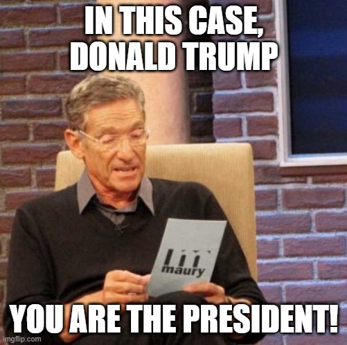 Maury Lie Detector | IN THIS CASE, DONALD TRUMP; YOU ARE THE PRESIDENT! | image tagged in memes,maury lie detector | made w/ Imgflip meme maker