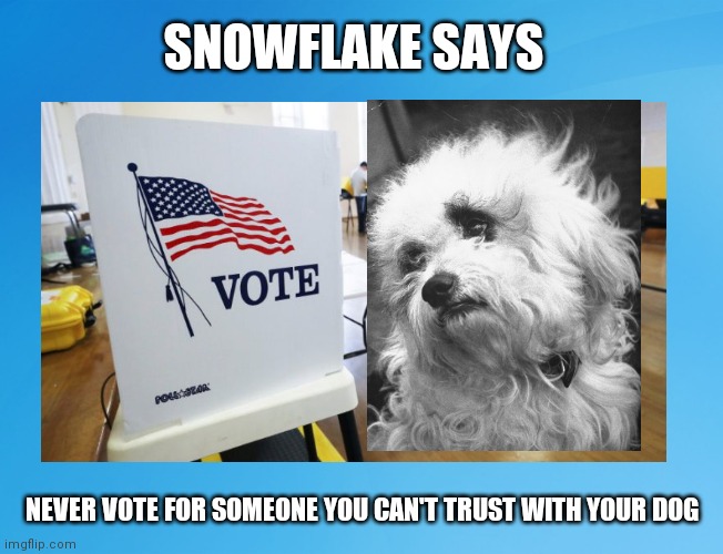 Snowflake Says Vote | SNOWFLAKE SAYS; NEVER VOTE FOR SOMEONE YOU CAN'T TRUST WITH YOUR DOG | image tagged in snowflake,dogs,funny,ted cruz,vote,senate | made w/ Imgflip meme maker