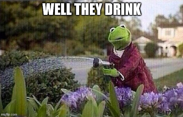 Kermit Watering Plants | WELL THEY DRINK | image tagged in kermit watering plants | made w/ Imgflip meme maker