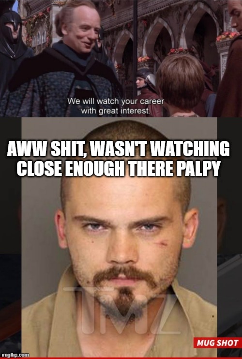 Some Career | AWW SHIT, WASN'T WATCHING CLOSE ENOUGH THERE PALPY | image tagged in star wars palpatine anakin career watching | made w/ Imgflip meme maker
