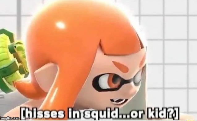 Hisses in squid...or kid? | image tagged in hisses in squid or kid | made w/ Imgflip meme maker