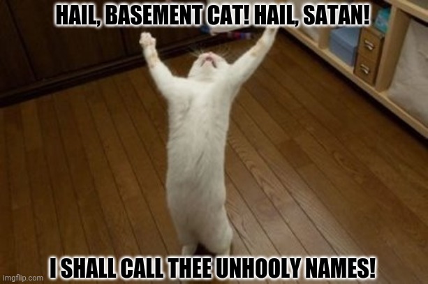 Why Why Why Funny Cat | HAIL, BASEMENT CAT! HAIL, SATAN! I SHALL CALL THEE UNHOOLY NAMES! | image tagged in memes,funny cat birthday,satanism | made w/ Imgflip meme maker