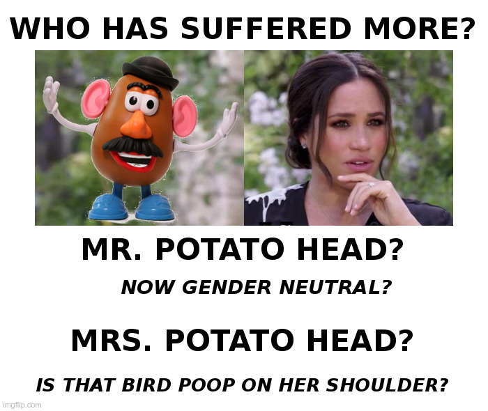 Who Has Suffered More? | image tagged in mr potato head,gender,meghan markle,bird,poop,oprah winfrey | made w/ Imgflip meme maker