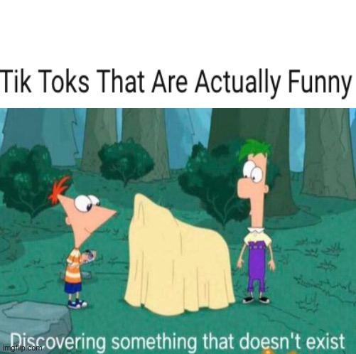 I Mean I’m Not Wrong | image tagged in phineas and ferb,tiktok,truth,meme,discovering something that doesnt exist | made w/ Imgflip meme maker