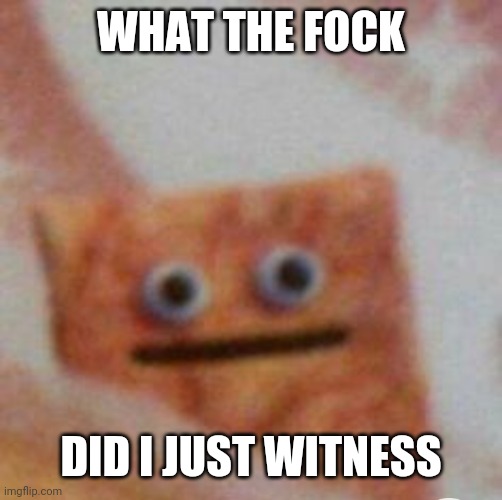When you see  people doing sexy time on tv | WHAT THE FOCK; DID I JUST WITNESS | image tagged in what the cinnamon toast f is this | made w/ Imgflip meme maker