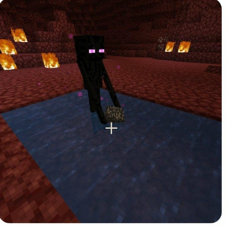 Enderman holding bedrock while in water in the nether Blank Meme Template