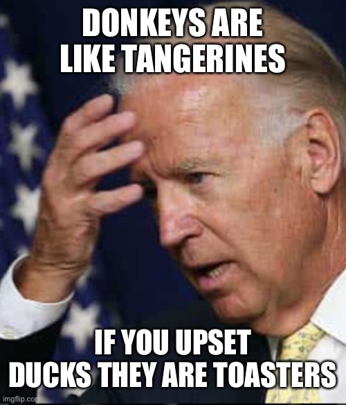 Confused Joe Biden | DONKEYS ARE LIKE TANGERINES; IF YOU UPSET DUCKS THEY ARE TOASTERS | image tagged in confused joe biden | made w/ Imgflip meme maker