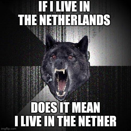 Insanity Wolf | IF I LIVE IN THE NETHERLANDS; DOES IT MEAN I LIVE IN THE NETHER | image tagged in memes,insanity wolf | made w/ Imgflip meme maker