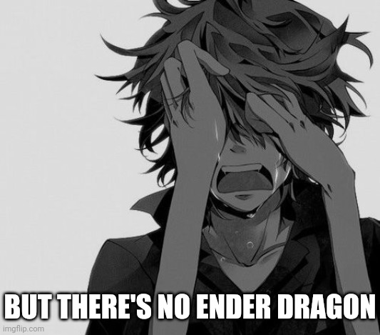 edgy anime boy | BUT THERE'S NO ENDER DRAGON | image tagged in edgy anime boy | made w/ Imgflip meme maker