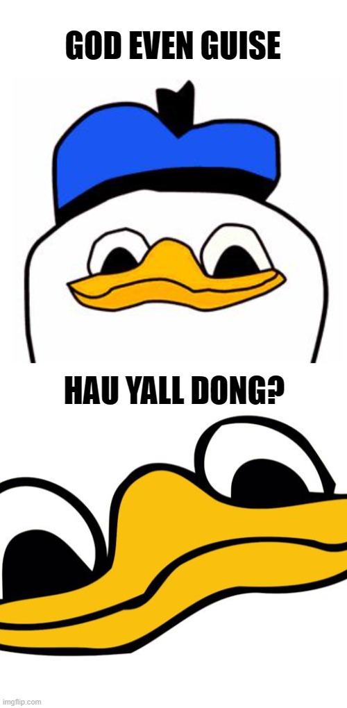DLN | GOD EVEN GUISE; HAU YALL DONG? | image tagged in dolan | made w/ Imgflip meme maker