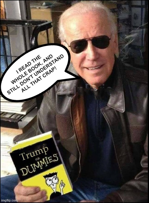 Biden and the Trump For Dummies book | I READ THE WHOLE BOOK, AND STILL DON'T UNDERSTAND
ALL THAT CRAP! | image tagged in trump,biden,book,nonsense,for dummies,insane | made w/ Imgflip meme maker