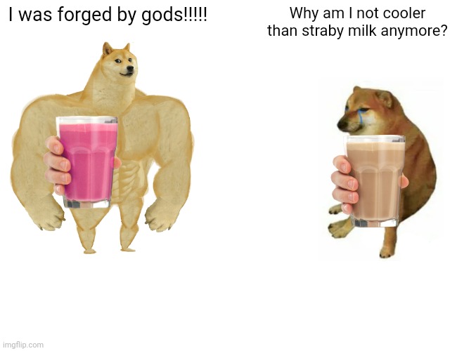 Yessss | I was forged by gods!!!!! Why am I not cooler than straby milk anymore? | image tagged in memes,buff doge vs cheems | made w/ Imgflip meme maker
