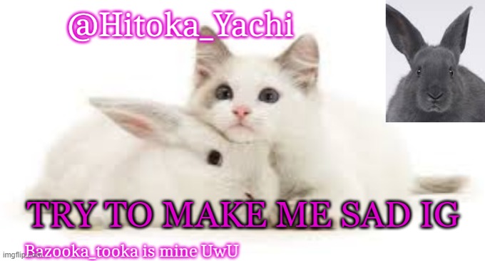 Hitoka_Yachi | TRY TO MAKE ME SAD IG | image tagged in hitoka_yachi | made w/ Imgflip meme maker