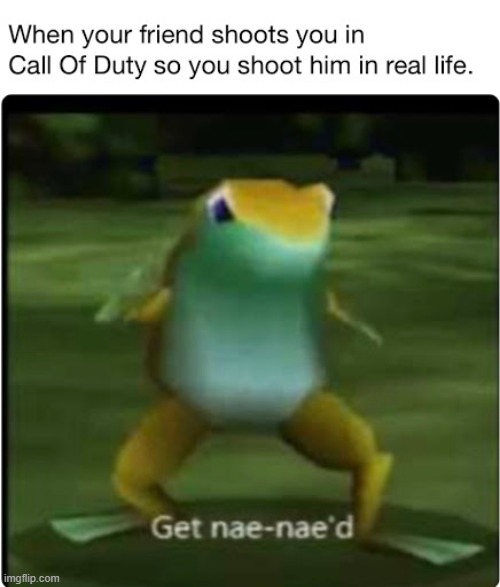 lol | image tagged in memes,funny frog,get nae-nae'd,bruh,lol | made w/ Imgflip meme maker