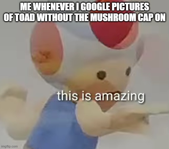 This is amazing, amirite? | ME WHENEVER I GOOGLE PICTURES OF TOAD WITHOUT THE MUSHROOM CAP ON | image tagged in cursed toad | made w/ Imgflip meme maker
