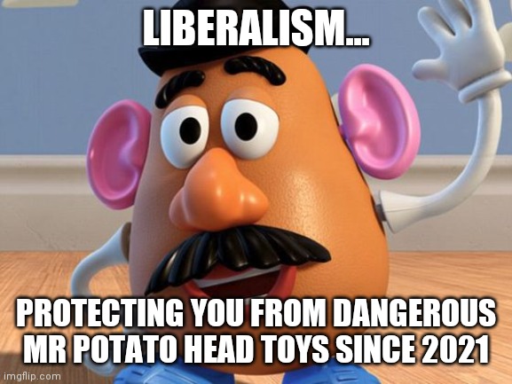 Don't you feel so MUCH safer at night? I am going to sleep with the doors unlocked now that the potato menace is over! | LIBERALISM... PROTECTING YOU FROM DANGEROUS MR POTATO HEAD TOYS SINCE 2021 | image tagged in mr potato head,liberal logic | made w/ Imgflip meme maker