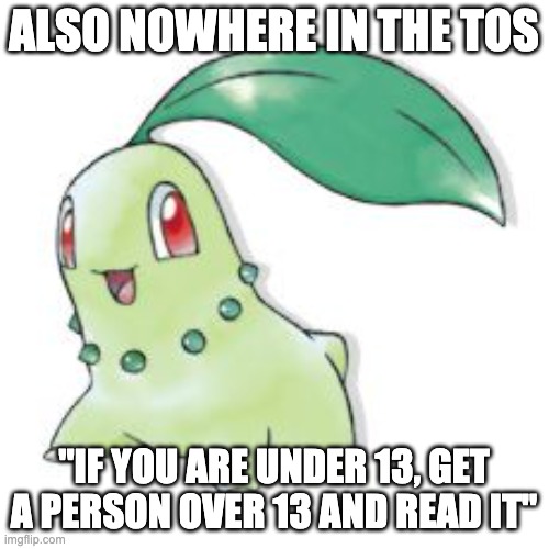 Chikorita | ALSO NOWHERE IN THE TOS "IF YOU ARE UNDER 13, GET A PERSON OVER 13 AND READ IT" | image tagged in chikorita | made w/ Imgflip meme maker