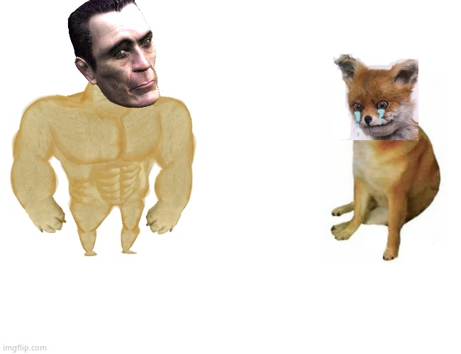 G man vs. a fox that spins records | image tagged in memes,buff doge vs cheems | made w/ Imgflip meme maker
