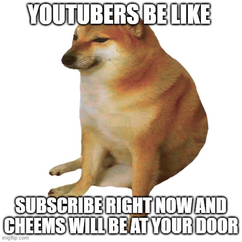 cheems | YOUTUBERS BE LIKE; SUBSCRIBE RIGHT NOW AND CHEEMS WILL BE AT YOUR DOOR | image tagged in cheems | made w/ Imgflip meme maker