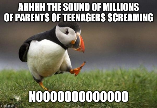 Popular opinion puffin | AHHHH THE SOUND OF MILLIONS OF PARENTS OF TEENAGERS SCREAMING NOOOOOOOOOOOOO | image tagged in popular opinion puffin | made w/ Imgflip meme maker