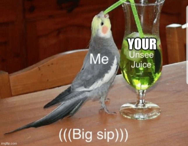 Unsee juice | YOUR | image tagged in unsee juice | made w/ Imgflip meme maker