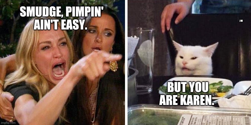 Smudge the cat | SMUDGE, PIMPIN' AIN'T EASY. J M; BUT YOU ARE KAREN. | image tagged in smudge the cat | made w/ Imgflip meme maker