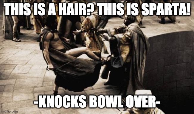 madness - this is sparta | THIS IS A HAIR? THIS IS SPARTA! -KNOCKS BOWL OVER- | image tagged in madness - this is sparta | made w/ Imgflip meme maker