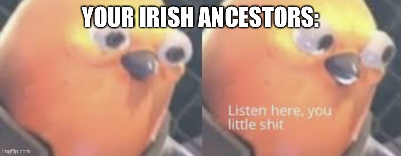 Listen here you little shit bird | YOUR IRISH ANCESTORS: | image tagged in listen here you little shit bird | made w/ Imgflip meme maker