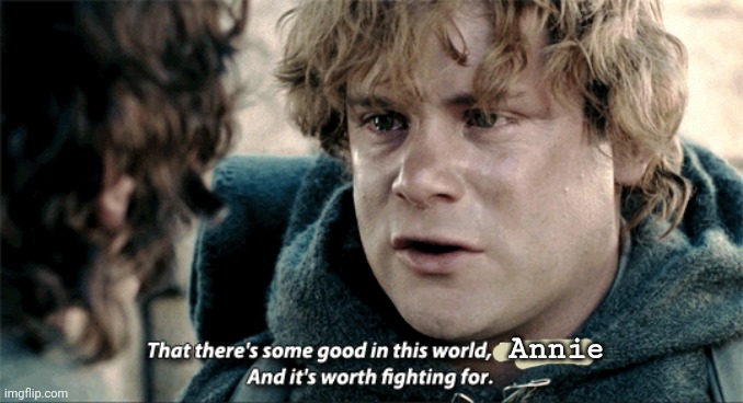 for promise me this book review on GR | Annie | image tagged in lotr | made w/ Imgflip meme maker