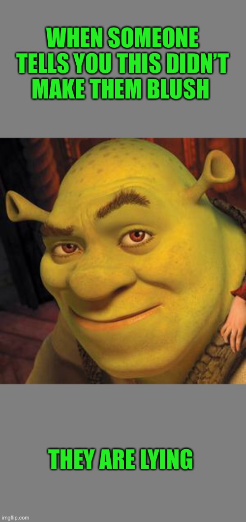 WHEN SOMEONE TELLS YOU THIS DIDN’T MAKE THEM BLUSH; THEY ARE LYING | image tagged in blank grey,shrek sexy face | made w/ Imgflip meme maker