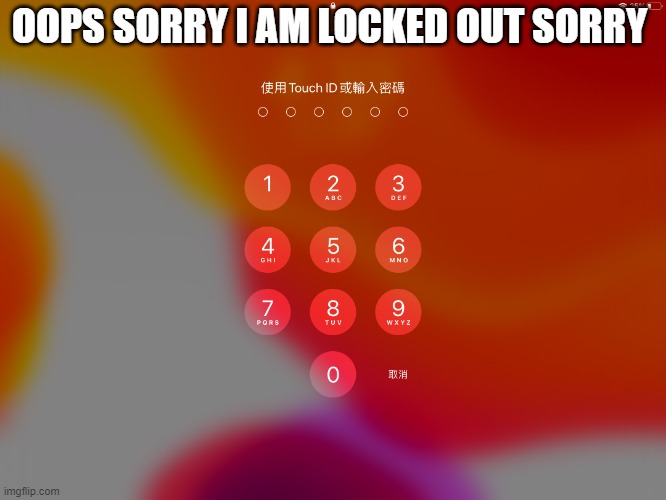 Oh no I got locked out | OOPS SORRY I AM LOCKED OUT SORRY | image tagged in oh no i got locked out | made w/ Imgflip meme maker
