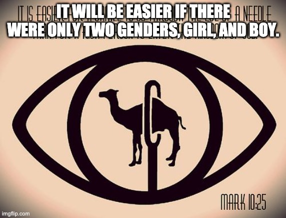 It is easier for a camel Mark 10:25 | IT WILL BE EASIER IF THERE WERE ONLY TWO GENDERS, GIRL, AND BOY. | image tagged in it is easier for a camel mark 10 25 | made w/ Imgflip meme maker