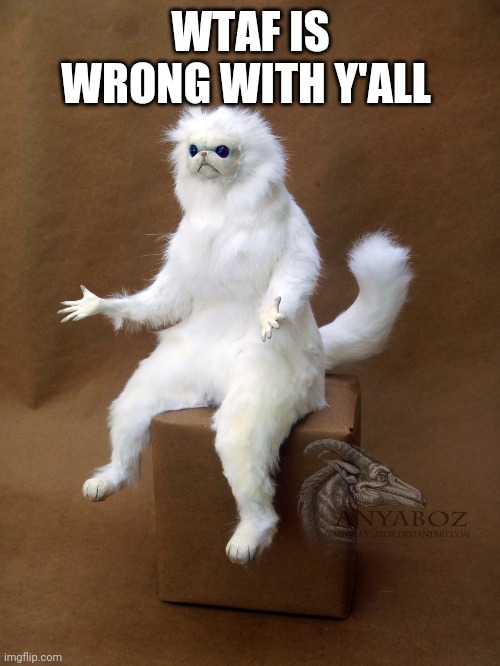 Persian Cat Room Guardian Single Meme | WTAF IS WRONG WITH Y'ALL | image tagged in memes,persian cat room guardian single | made w/ Imgflip meme maker