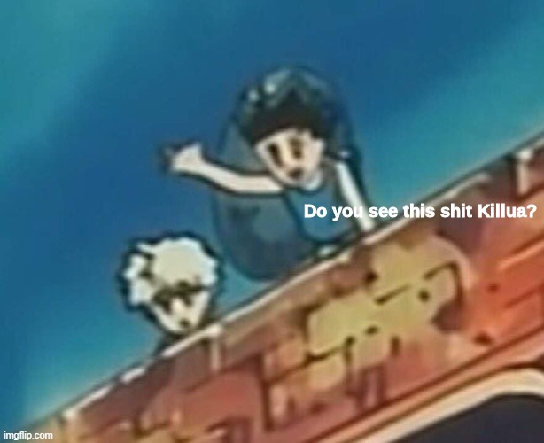 Do you see this shit Killua? | image tagged in do you see this shit killua | made w/ Imgflip meme maker