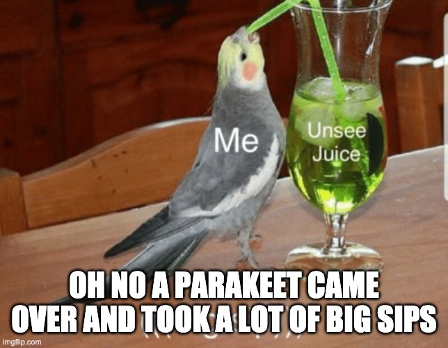 Unsee juice | OH NO A PARAKEET CAME OVER AND TOOK A LOT OF BIG SIPS | image tagged in unsee juice | made w/ Imgflip meme maker