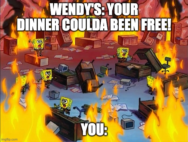 spongebob fire | WENDY'S: YOUR DINNER COULDA BEEN FREE! YOU: | image tagged in spongebob fire | made w/ Imgflip meme maker