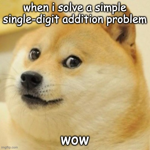 wow doge | when i solve a simple single-digit addition problem wow | image tagged in wow doge | made w/ Imgflip meme maker