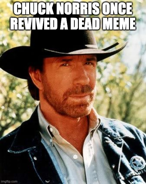 Chuck Norris Meme | CHUCK NORRIS ONCE REVIVED A DEAD MEME | image tagged in memes,chuck norris | made w/ Imgflip meme maker