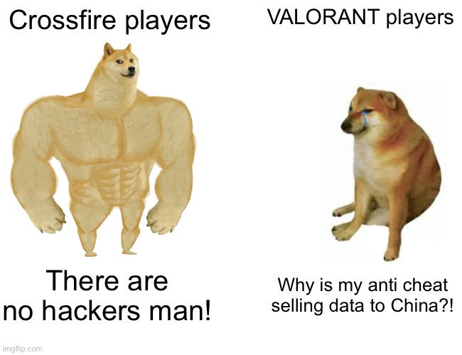 Buff Doge vs. Cheems | Crossfire players; VALORANT players; There are no hackers man! Why is my anti cheat selling data to China?! | image tagged in memes,buff doge vs cheems | made w/ Imgflip meme maker