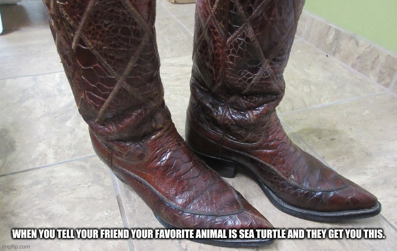 When I said I love sea turtles...XD | WHEN YOU TELL YOUR FRIEND YOUR FAVORITE ANIMAL IS SEA TURTLE AND THEY GET YOU THIS. | image tagged in western,boots,animals,skin | made w/ Imgflip meme maker