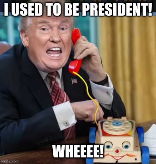 probably pining | I USED TO BE PRESIDENT! WHEEEE! | image tagged in i'm the president,loser | made w/ Imgflip meme maker