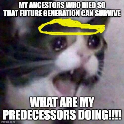 Screaming Cat meme | MY ANCESTORS WHO DIED SO THAT FUTURE GENERATION CAN SURVIVE; WHAT ARE MY PREDECESSORS DOING!!!! | image tagged in screaming cat meme | made w/ Imgflip meme maker