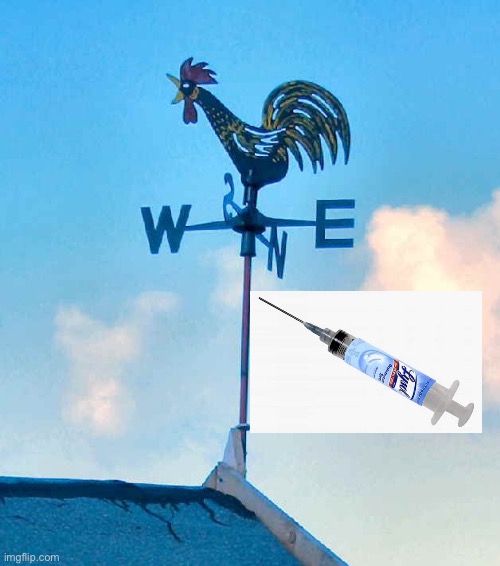 Weather Vane | image tagged in weather vane | made w/ Imgflip meme maker